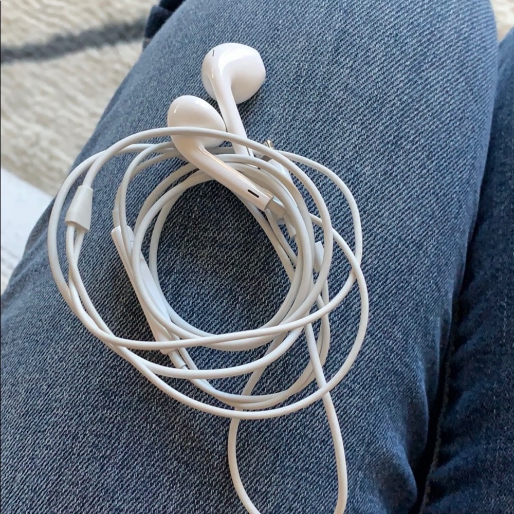 Apple Earphones